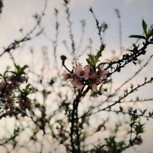 午夜福利观看视频1
